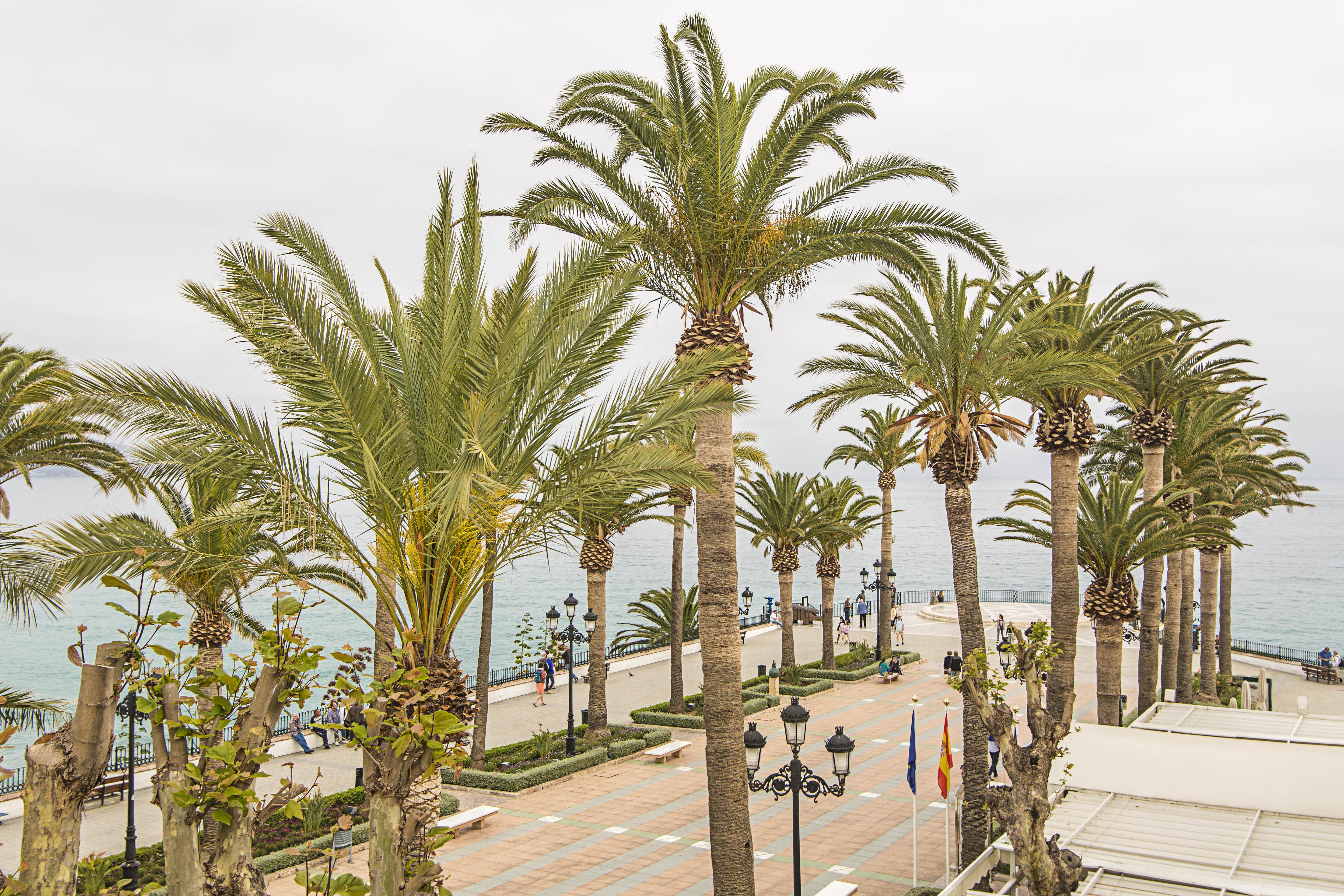 Hostal Marissal By Dorobe Nerja Luaran gambar
